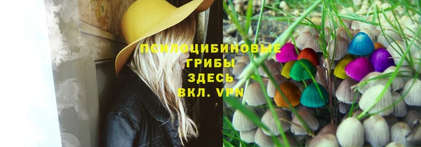 экстази Богородск
