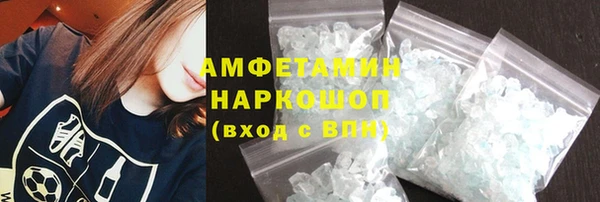 стаф Богданович