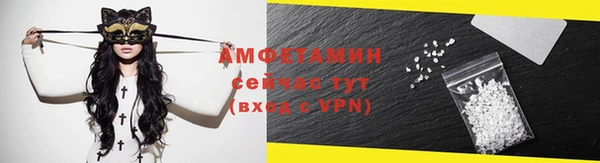 стаф Богданович