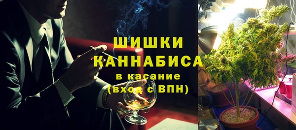 соль ск Богородицк