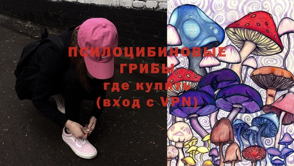 стаф Богданович