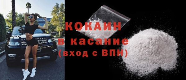 стаф Богданович