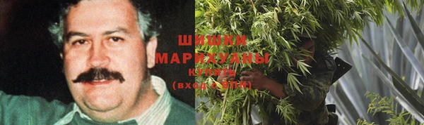 стаф Богданович